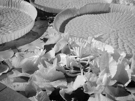 P8290021