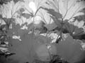 P8290014