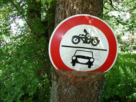 baum